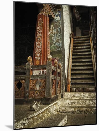 Feline Prayer-Andrew Geiger-Mounted Giclee Print