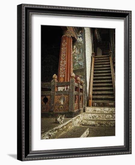 Feline Prayer-Andrew Geiger-Framed Giclee Print