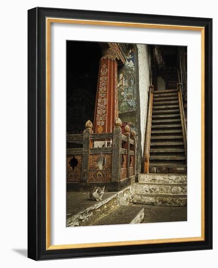 Feline Prayer-Andrew Geiger-Framed Giclee Print