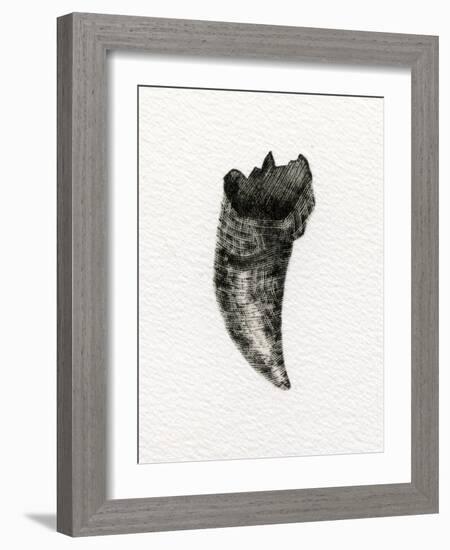 Feline Tooth, 2014-Bella Larsson-Framed Giclee Print