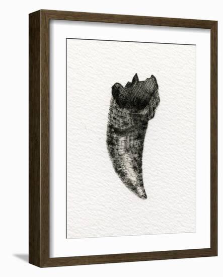 Feline Tooth, 2014-Bella Larsson-Framed Giclee Print