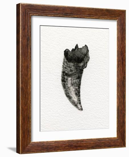 Feline Tooth, 2014-Bella Larsson-Framed Giclee Print