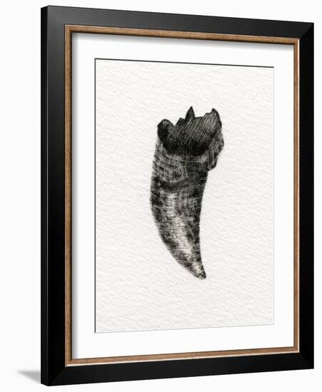 Feline Tooth, 2014-Bella Larsson-Framed Giclee Print