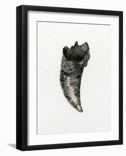 Feline Tooth, 2014-Bella Larsson-Framed Giclee Print