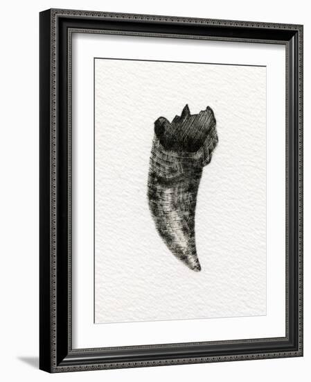 Feline Tooth, 2014-Bella Larsson-Framed Giclee Print
