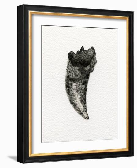 Feline Tooth, 2014-Bella Larsson-Framed Giclee Print