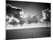 Photographic Print