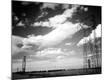Photographic Print