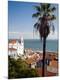 Premium Photographic Print