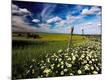 Premium Photographic Print