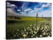 Stretched Canvas Print