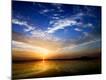 Premium Photographic Print