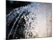 Premium Photographic Print