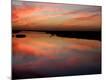 Premium Photographic Print