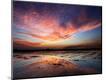 Photographic Print