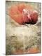 Premium Photographic Print