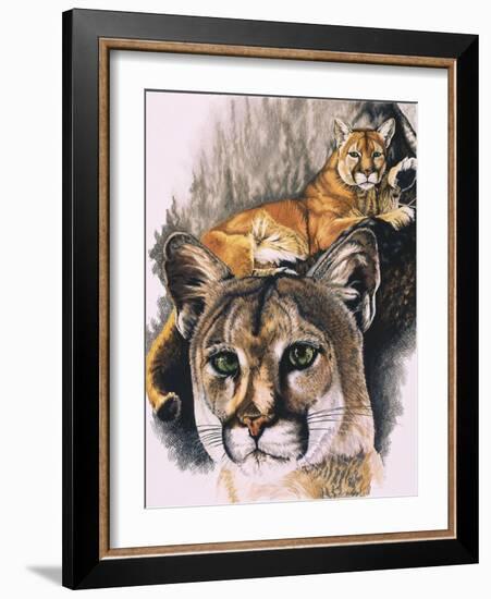 Felis Concolor Cory-Barbara Keith-Framed Giclee Print