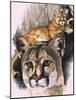 Felis Concolor Cory-Barbara Keith-Mounted Giclee Print