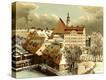 Stretched Canvas Print