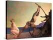 Stretched Canvas Print