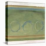 Rings I-Felix Latsch-Stretched Canvas