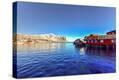 Stretched Canvas Print