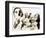 Felix Mendelssohn-null-Framed Giclee Print