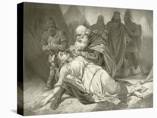 Stretched Canvas Print, , large
