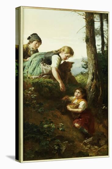 Stretched Canvas Print, , large