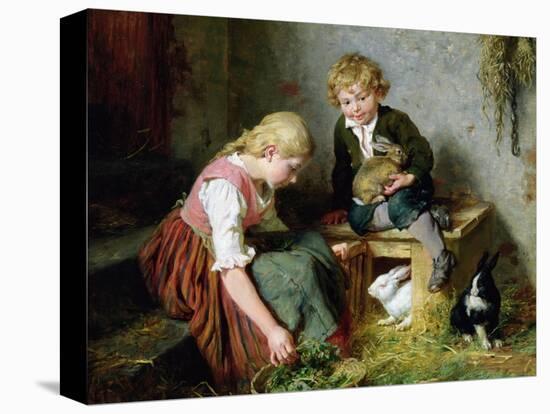 Stretched Canvas Print, , large