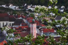 Looking Through the Bushes to Eichstatt-Felix Strohbach-Framed Premier Image Canvas