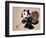 Felix the Artist-null-Framed Art Print