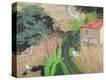Stretched Canvas Print