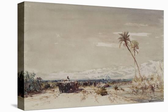 Stretched Canvas Print, , large