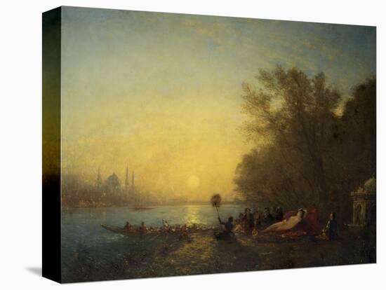 Stretched Canvas Print, , large