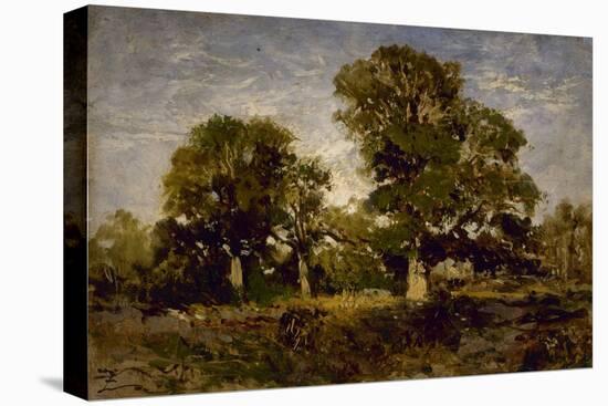 Stretched Canvas Print, , large