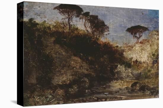 Stretched Canvas Print, , large