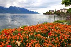 Landscape with Flowers and Lake Geneva, Montreux, Switzerland.-felker-Photographic Print
