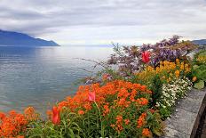 Landscape with Flowers and Lake Geneva, Montreux, Switzerland.-felker-Photographic Print