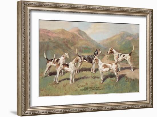 Fell Foxhounds-Thomas Ivester Llyod-Framed Art Print