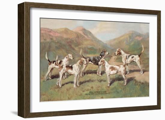 Fell Foxhounds-Thomas Ivester Llyod-Framed Art Print