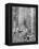 Felling a Blue-Gum Tree in Huon Forest, Tasmania, c.1900, from 'Under the Southern Cross -?-Australian Photographer-Framed Premier Image Canvas