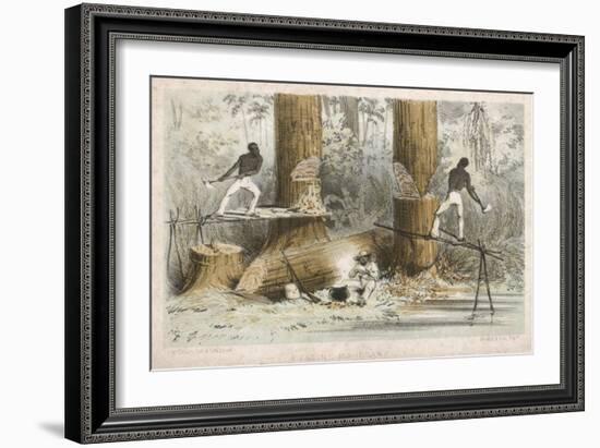 Felling Mahogany in Central America (Or Perhaps Guyana)-null-Framed Art Print