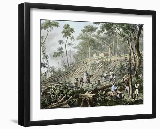 Felling of a Forest, Brazil-Johann Moritz Rugendas-Framed Giclee Print