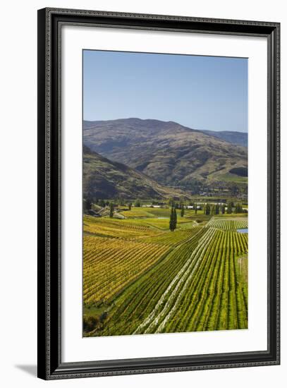 Felton Road Vineyard, Autumn, Bannockburn, Central Otago, South Island, New Zealand-David Wall-Framed Photographic Print