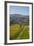 Felton Road Vineyard, Autumn, Bannockburn, Central Otago, South Island, New Zealand-David Wall-Framed Photographic Print