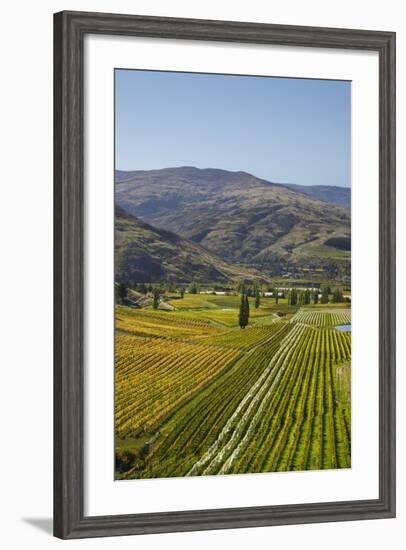 Felton Road Vineyard, Autumn, Bannockburn, Central Otago, South Island, New Zealand-David Wall-Framed Photographic Print