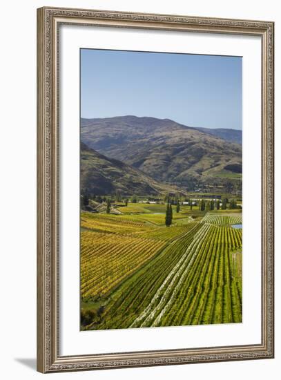 Felton Road Vineyard, Autumn, Bannockburn, Central Otago, South Island, New Zealand-David Wall-Framed Photographic Print