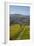 Felton Road Vineyard, Autumn, Bannockburn, Central Otago, South Island, New Zealand-David Wall-Framed Photographic Print