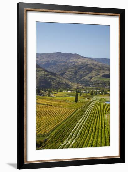 Felton Road Vineyard, Autumn, Bannockburn, Central Otago, South Island, New Zealand-David Wall-Framed Photographic Print